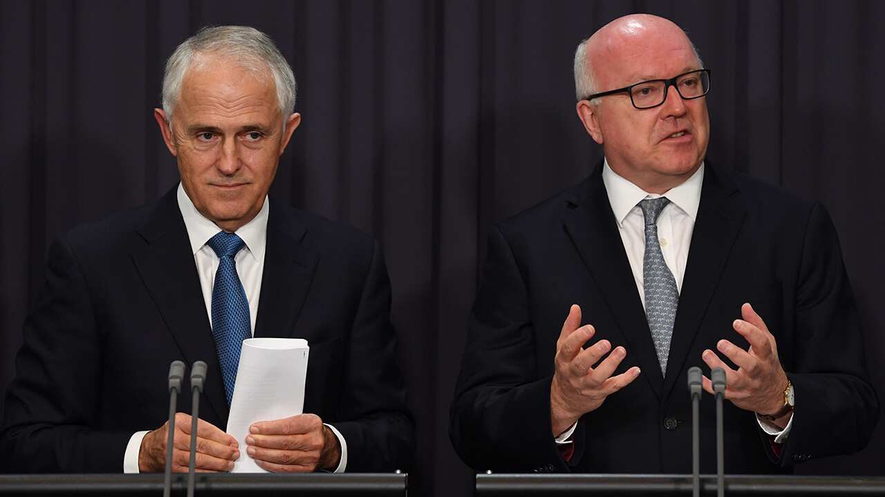 Turnbull & Brandis