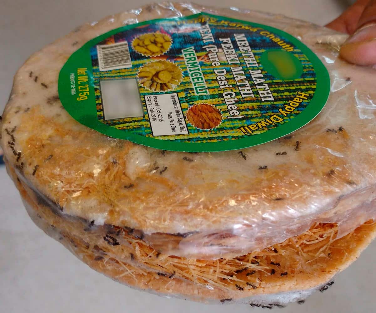 bug-infested bread 