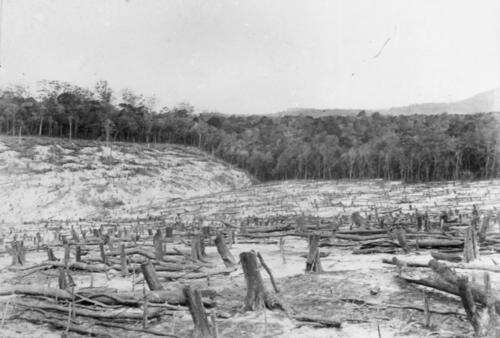 1900 neues Farmland in Maroon wird durch Abbrennen geschaffen