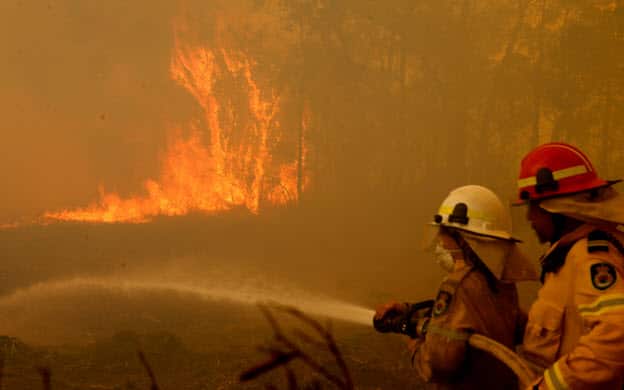 Bush Fire