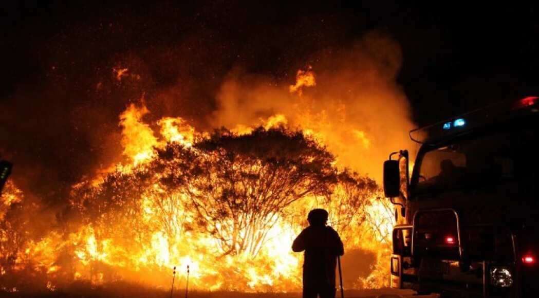 Bushfire