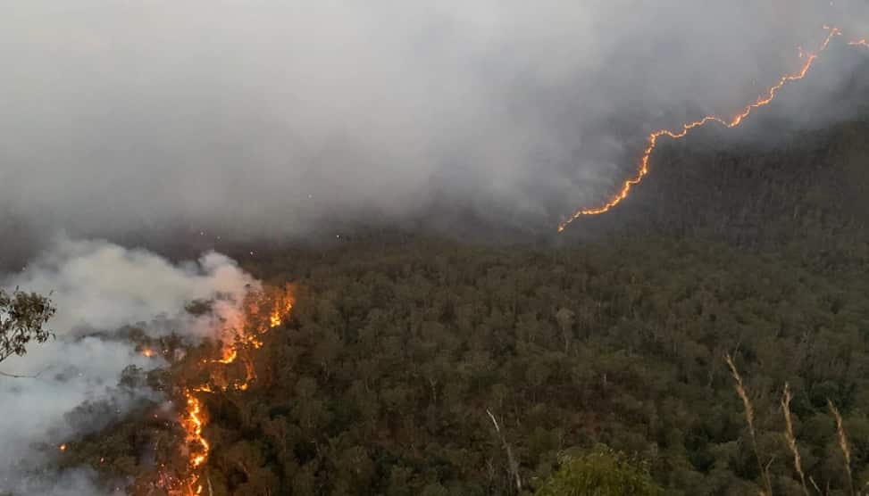 Bushfire 