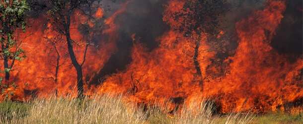 Bush fire in Tasmania & Victoria