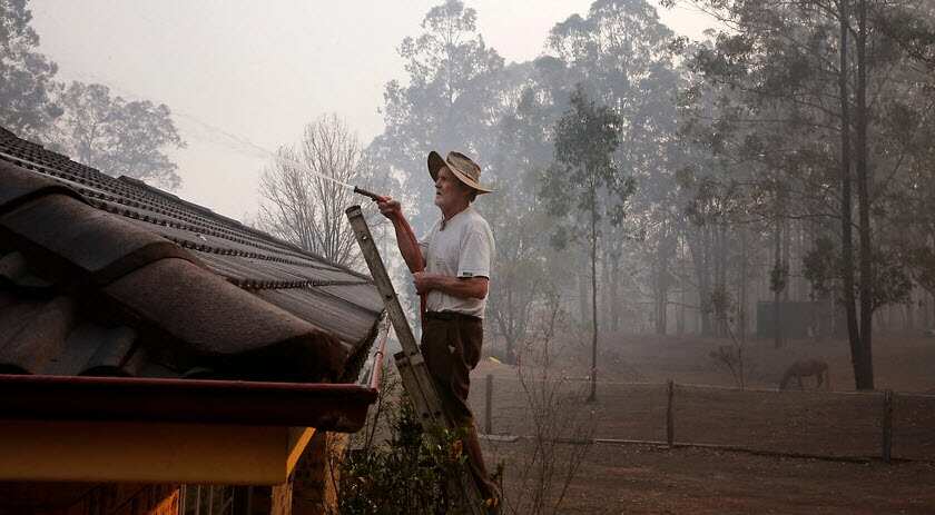 bushfire 