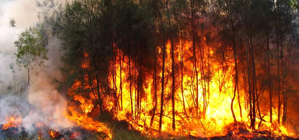 A fire rages creating destruction