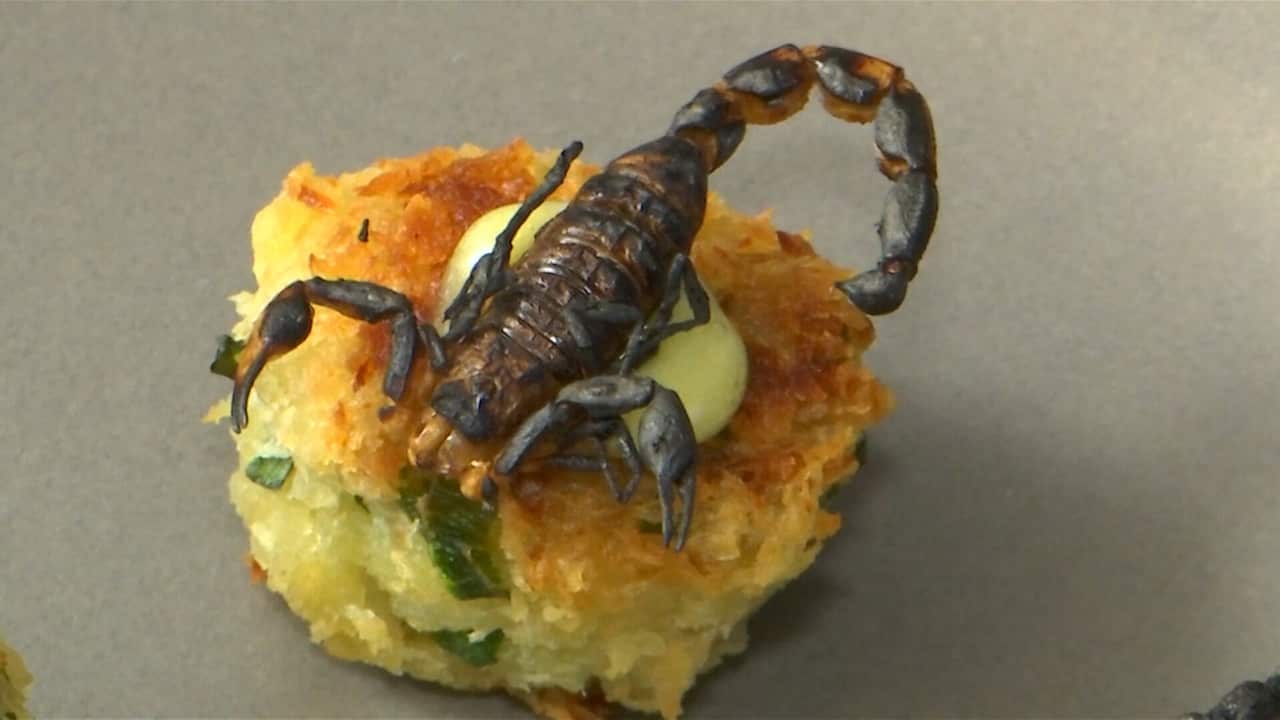 Eating insects
