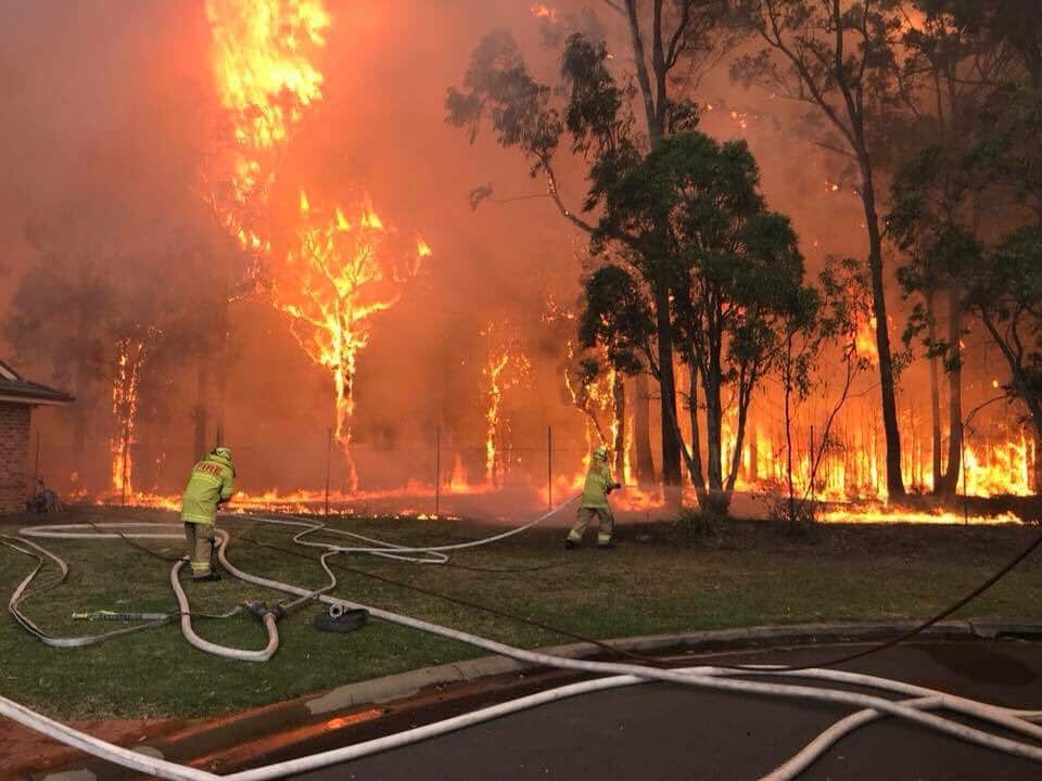 Firefighters battle the blaze as it appraoches homes in south west Sydney.