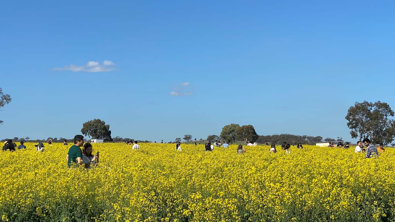 wa spring destinations, tourist spots, perth