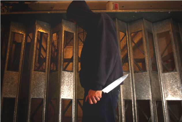 The NSW Police Commissioner warned any reduction in strip search powers could see a spike in knife crime. AAP