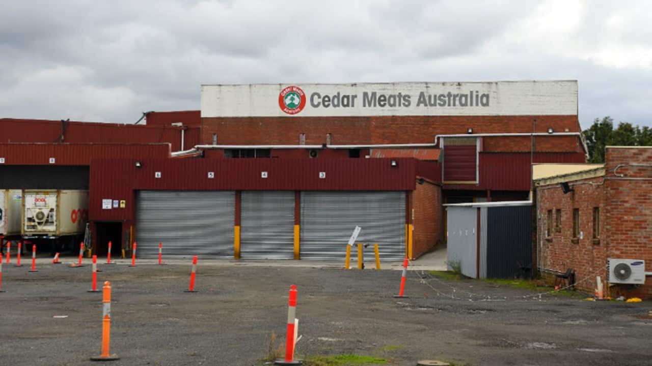 Melbourne meatworks coronavirus cluster grows to 49 as new infections confirmed