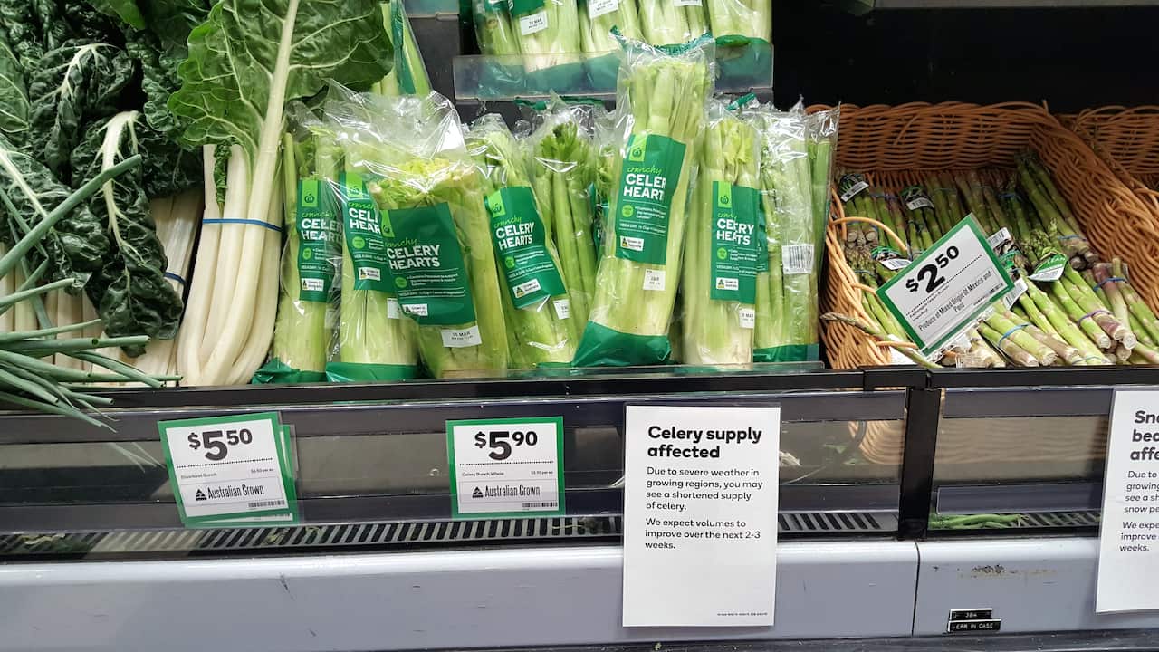 Vegetable supply at Woolworths