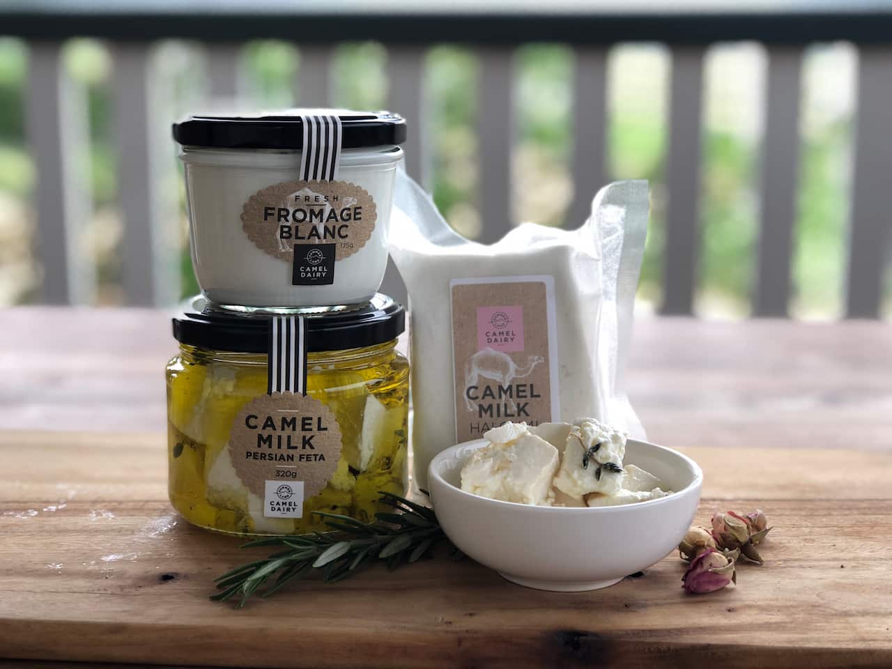 Camel farms dairy products