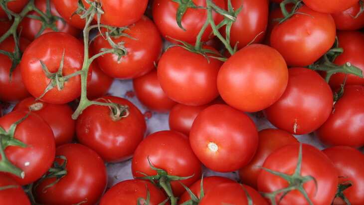 Tomatoes