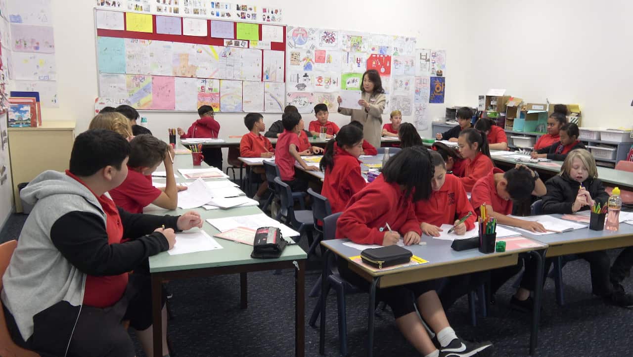 Korean bilingual program in Campsie Public School