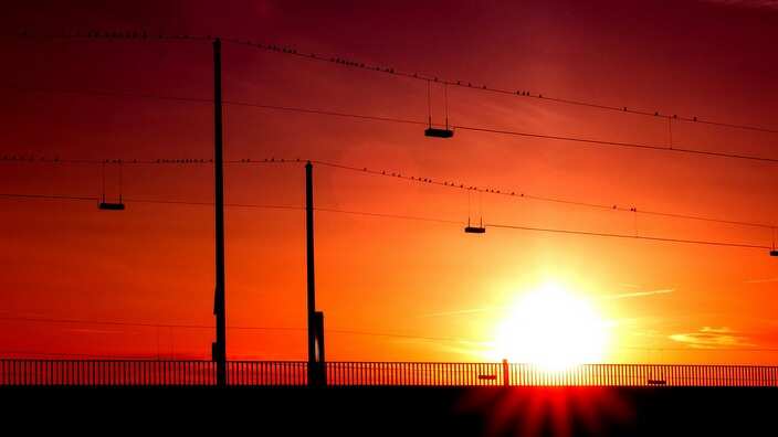 World is warming up according to expert