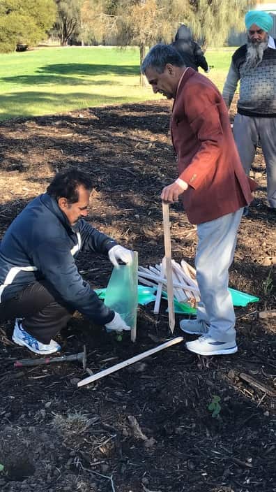 Tree Plantation in Wyndham by Club 60 