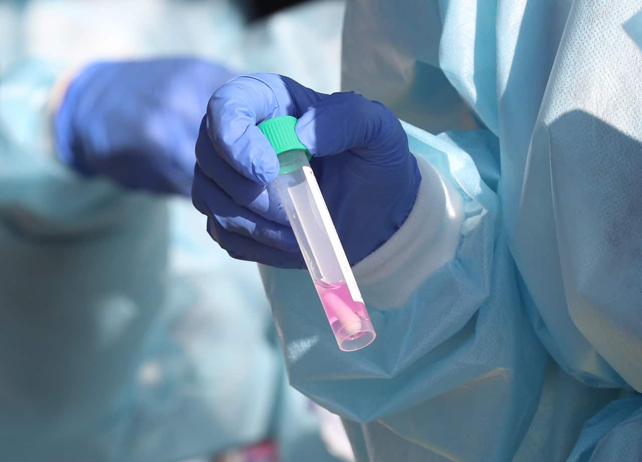 A testing swab is seen during community Covid-19 testing
