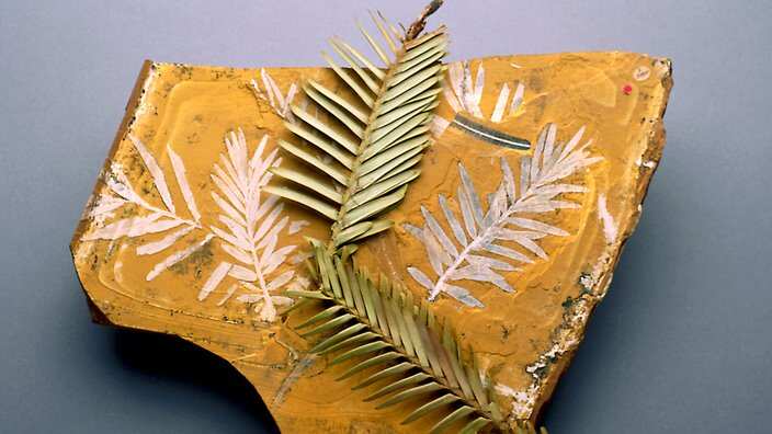 Courtesy of Dr. Maurizio Rossetto