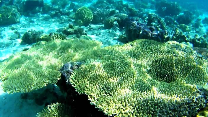 Coron Palawan