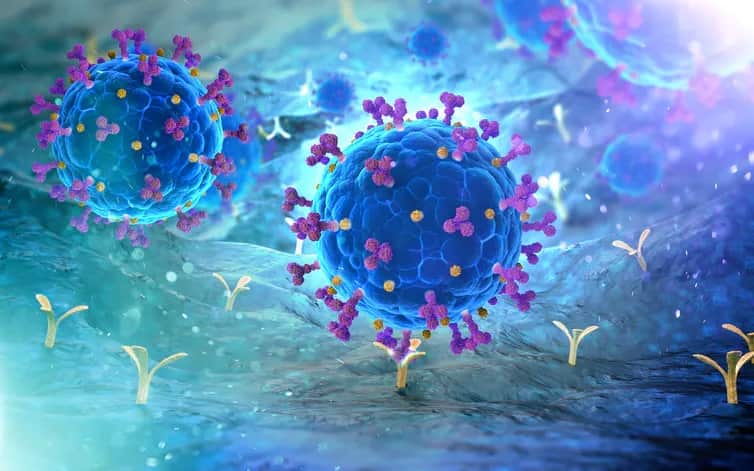The RT-PCR test for SARS-CoV-2 is highly accurate, but not perfect. Shutterstock