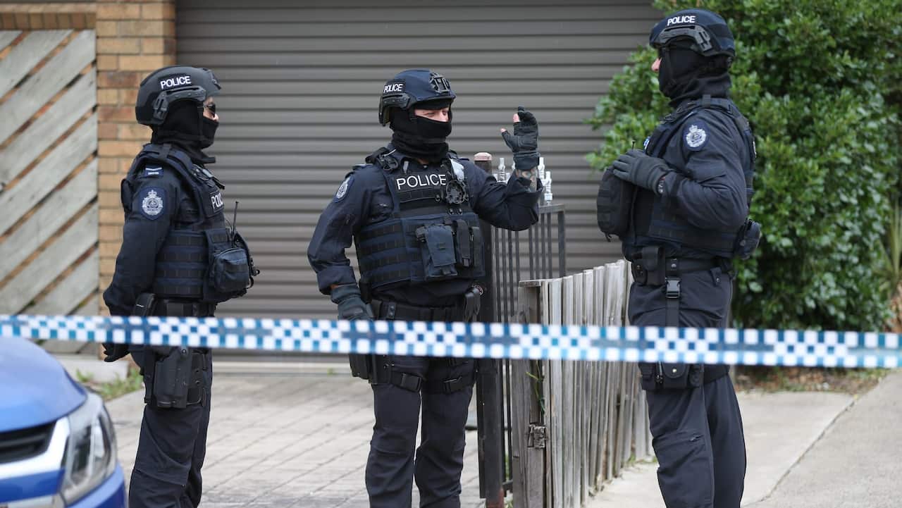terror raids