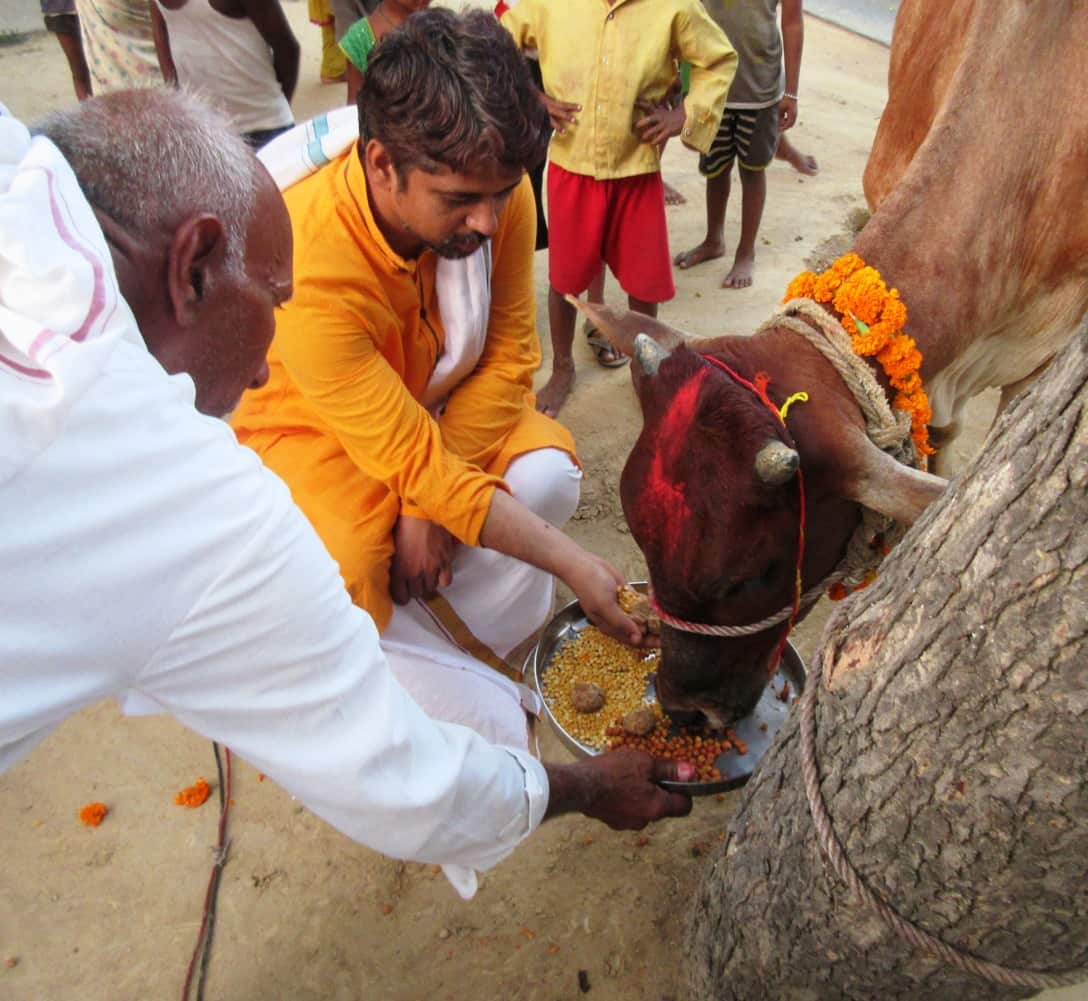 Gau_Poojan