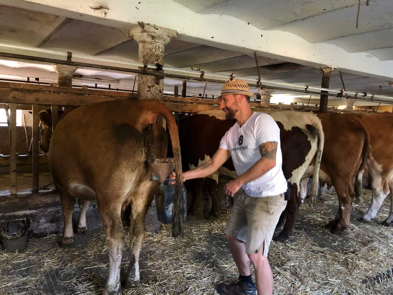 Cow dung artist Werner Haertl Bavaria