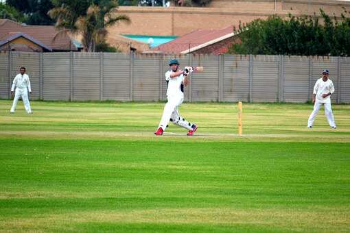 Cricket