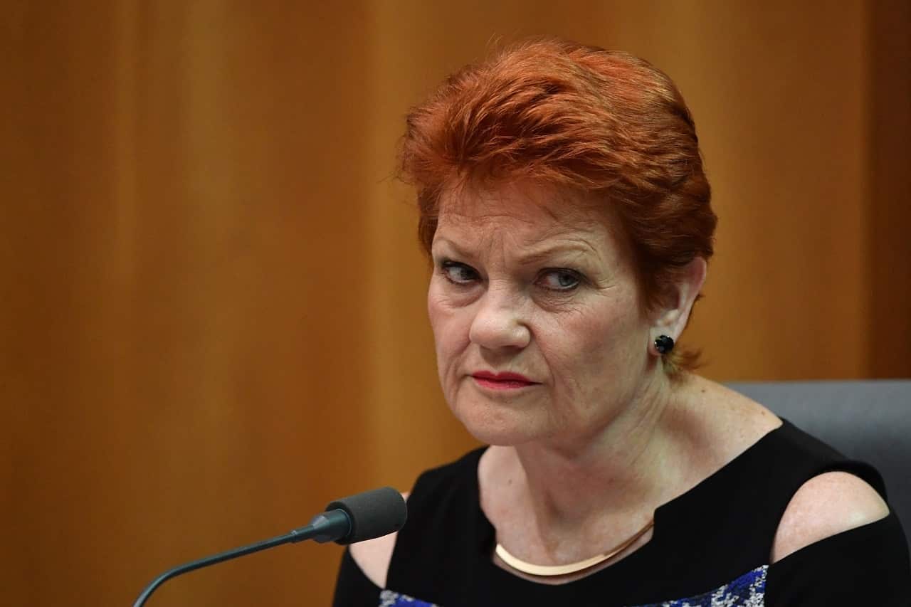 Glenn Kefford and Duncan McDonnell cited One Nation in their submission.
