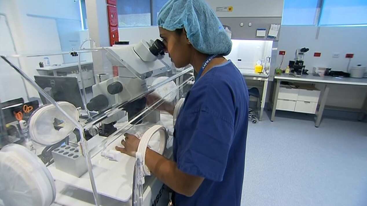 Many Australians don't realise the ages in which a female's fertility rate declines.