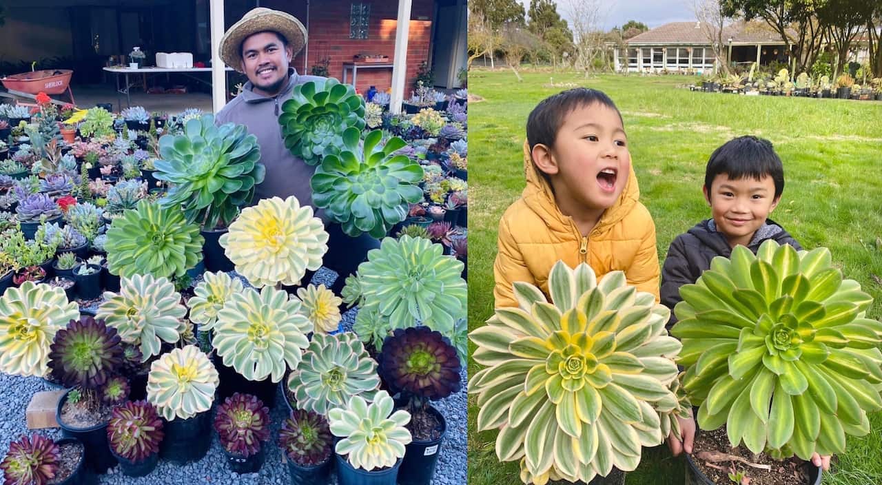 Couple finds purpose in giving back to community through their businesses