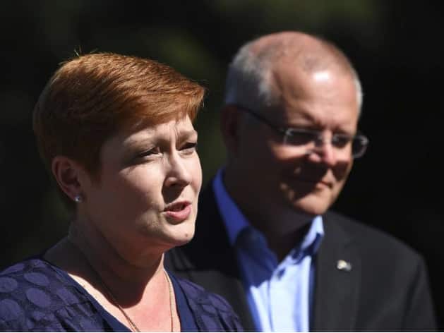Marise Payne has called for calm.