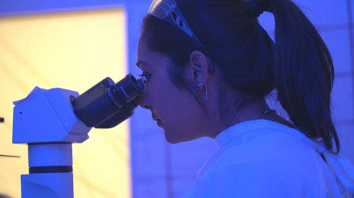 Dr Dharmika Mistry