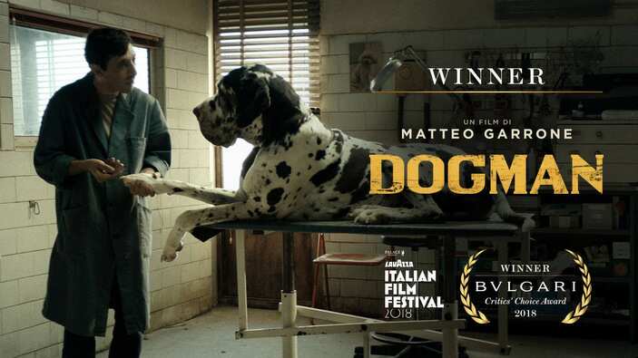 Dogman by Matteo Garrone