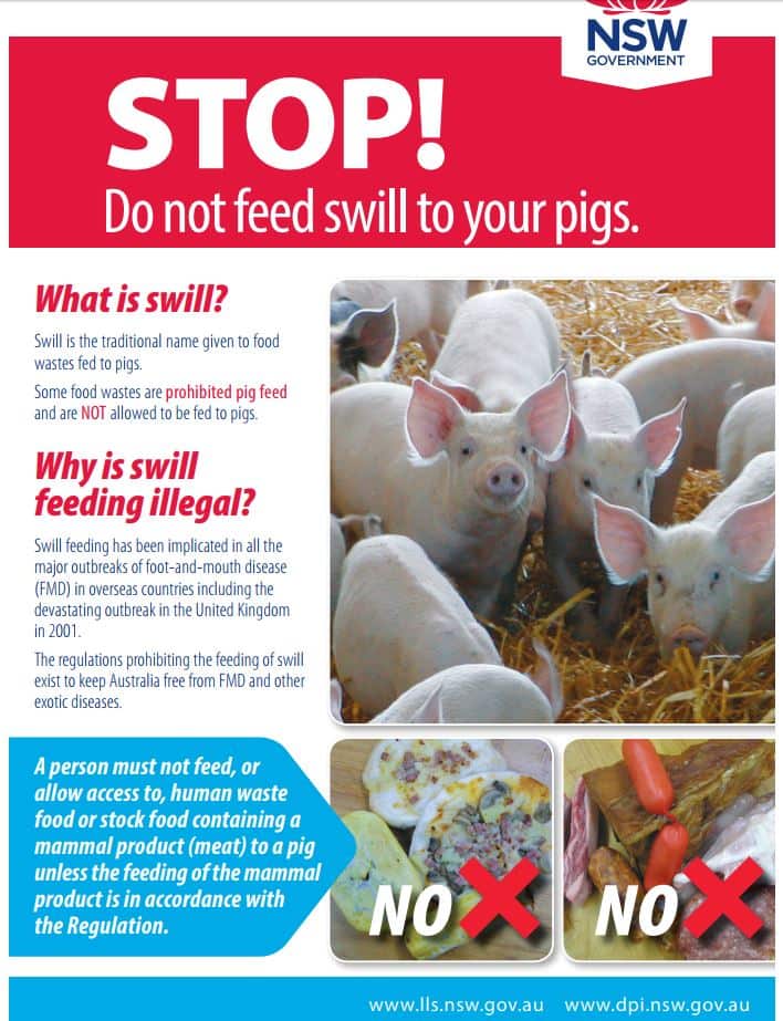 Don't feed swill to pigs