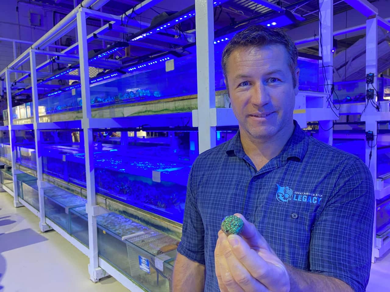 dr_dean_miller_with_samples_of_coral_growing_in_his_laboratory_aquariums_sbs-stefan_armbruster.