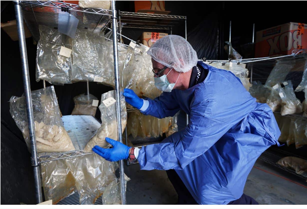 Queensland cops seize record-breaking drugs haul