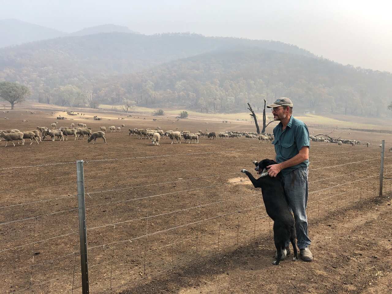 Patsy and Mr Hill keep an eye on their flock. She's ready to roll out and keep watch again.