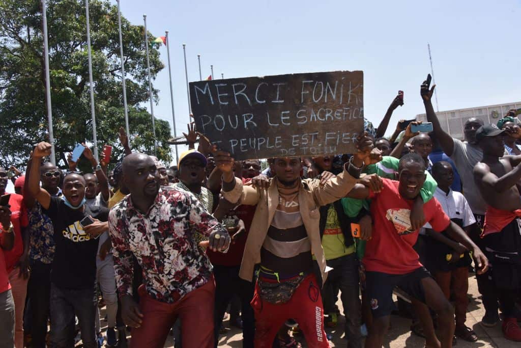 guinea_1.jpg