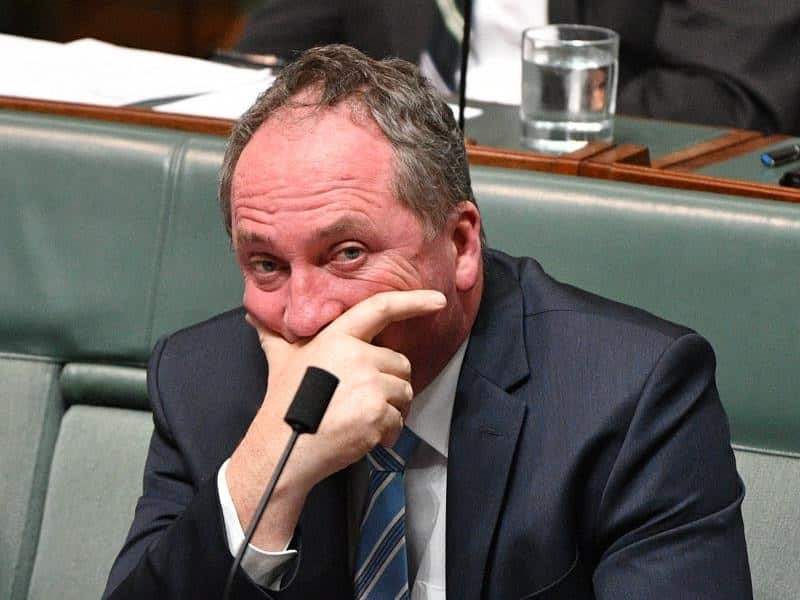 Former Deputy-PM Barnaby Joyce was one of many government figures caught out by dual citizenship. 