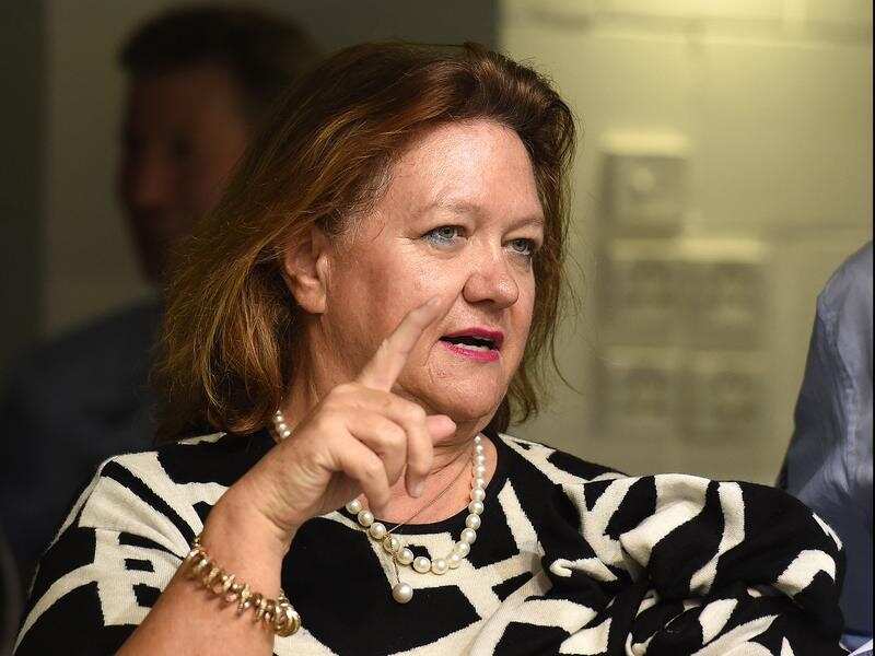 head and shoulders of Gina Rinehart
