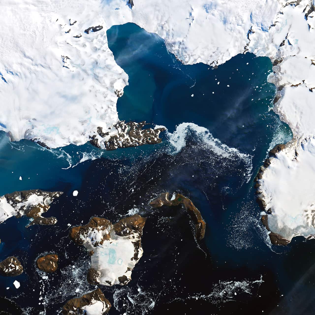 A satellite image of Eagle Island in Antarctica, taken 13 February.