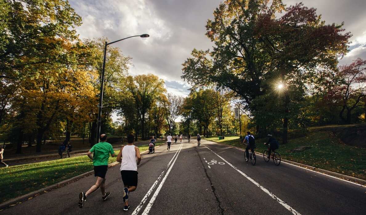 exercise 