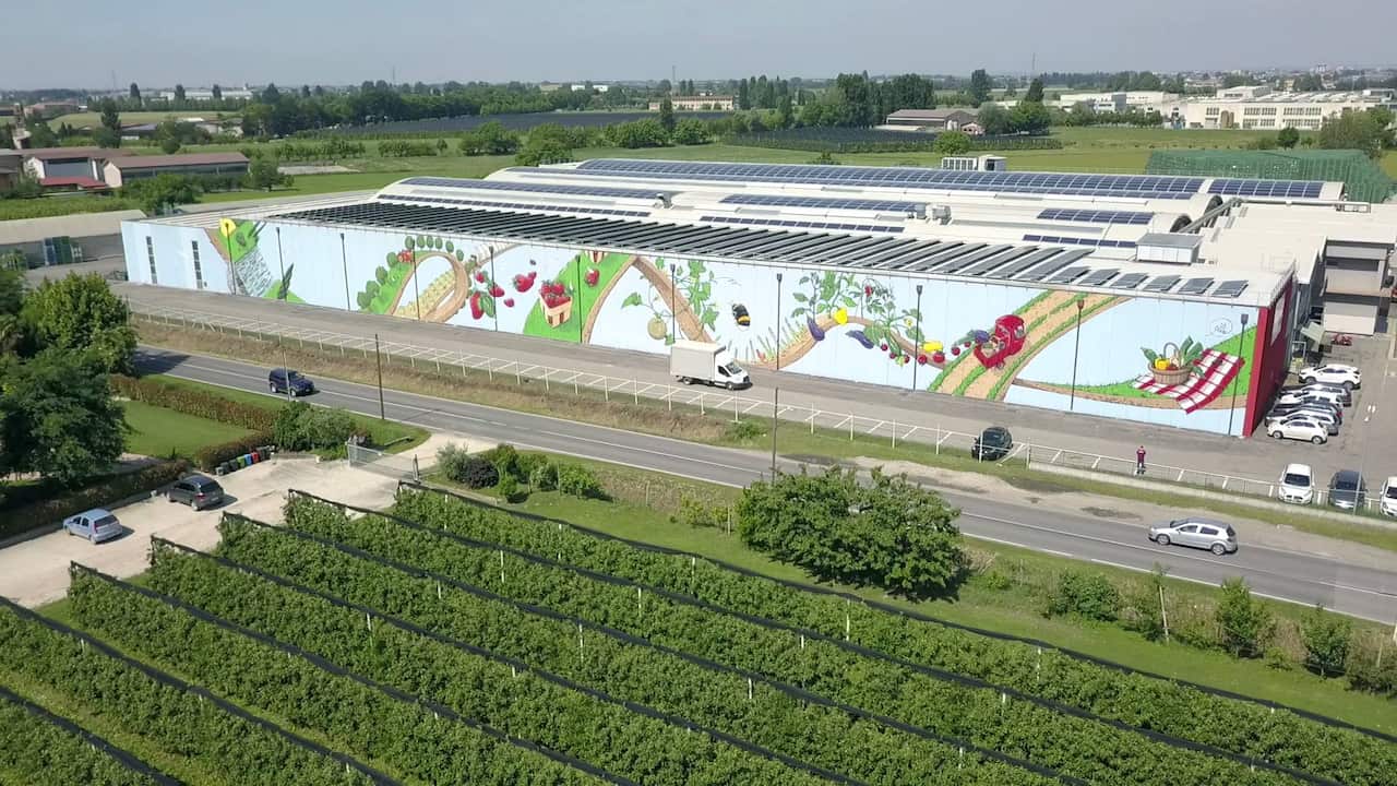 Apo Scaligera, Cibo
