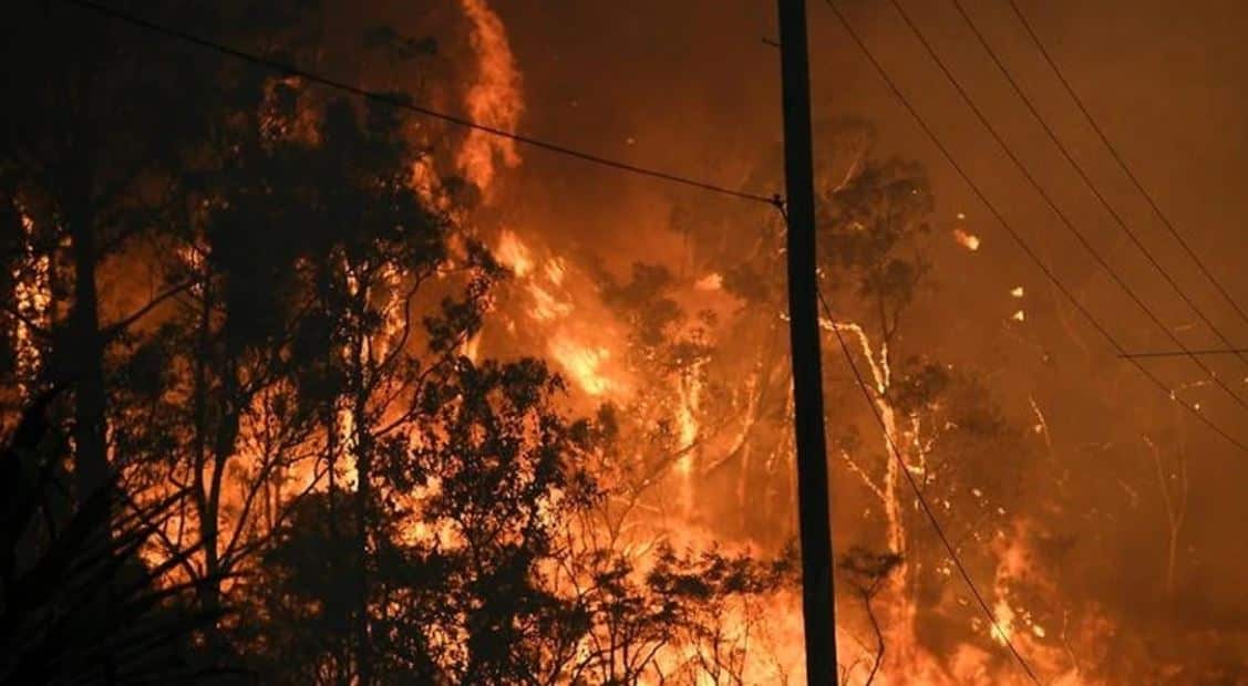 bushfire