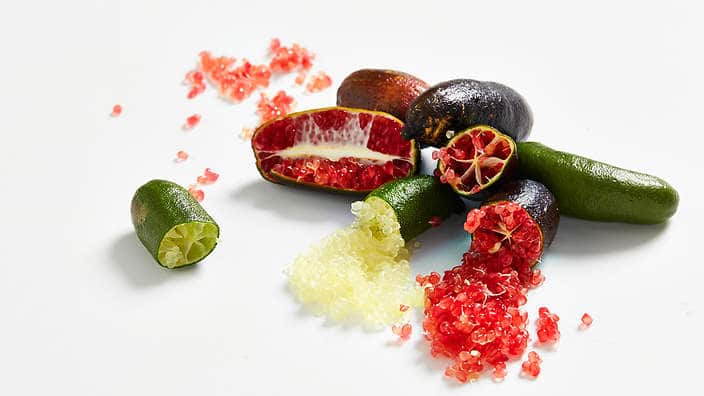finger-limes