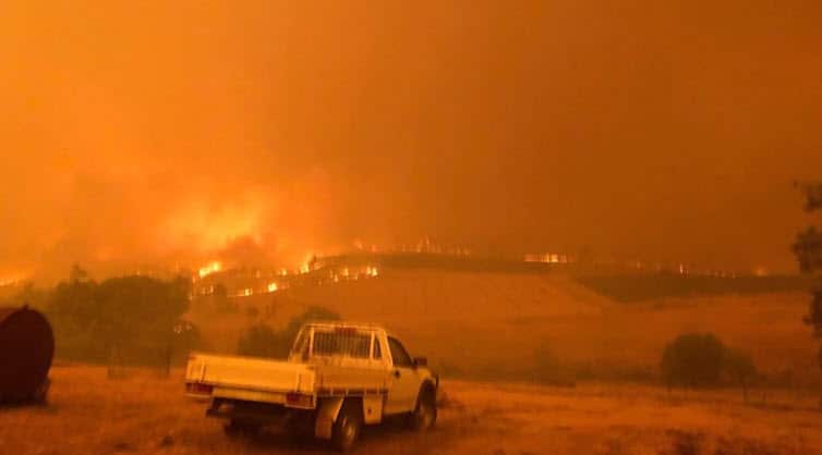 Bushfire