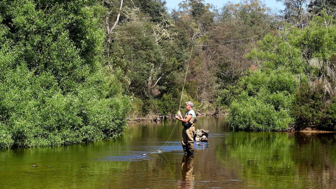 Flying fishing