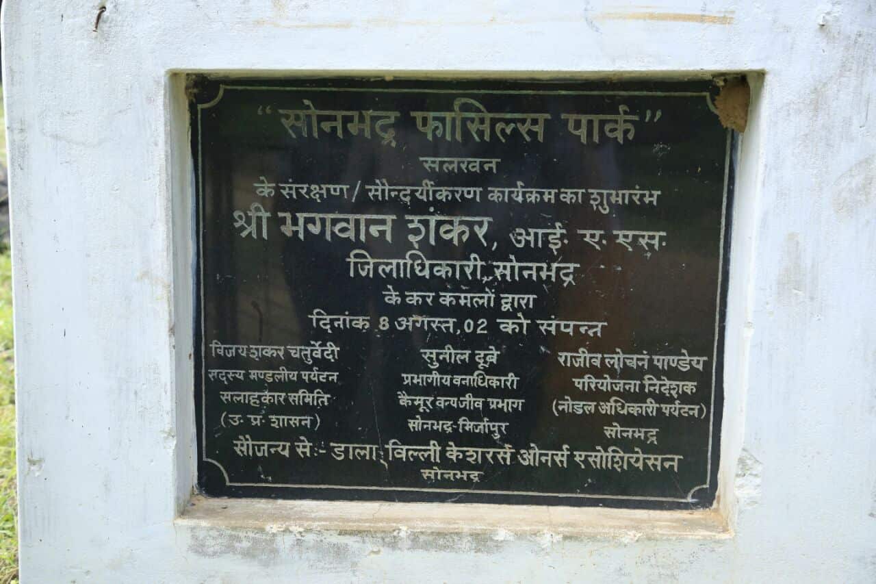Fossil Park