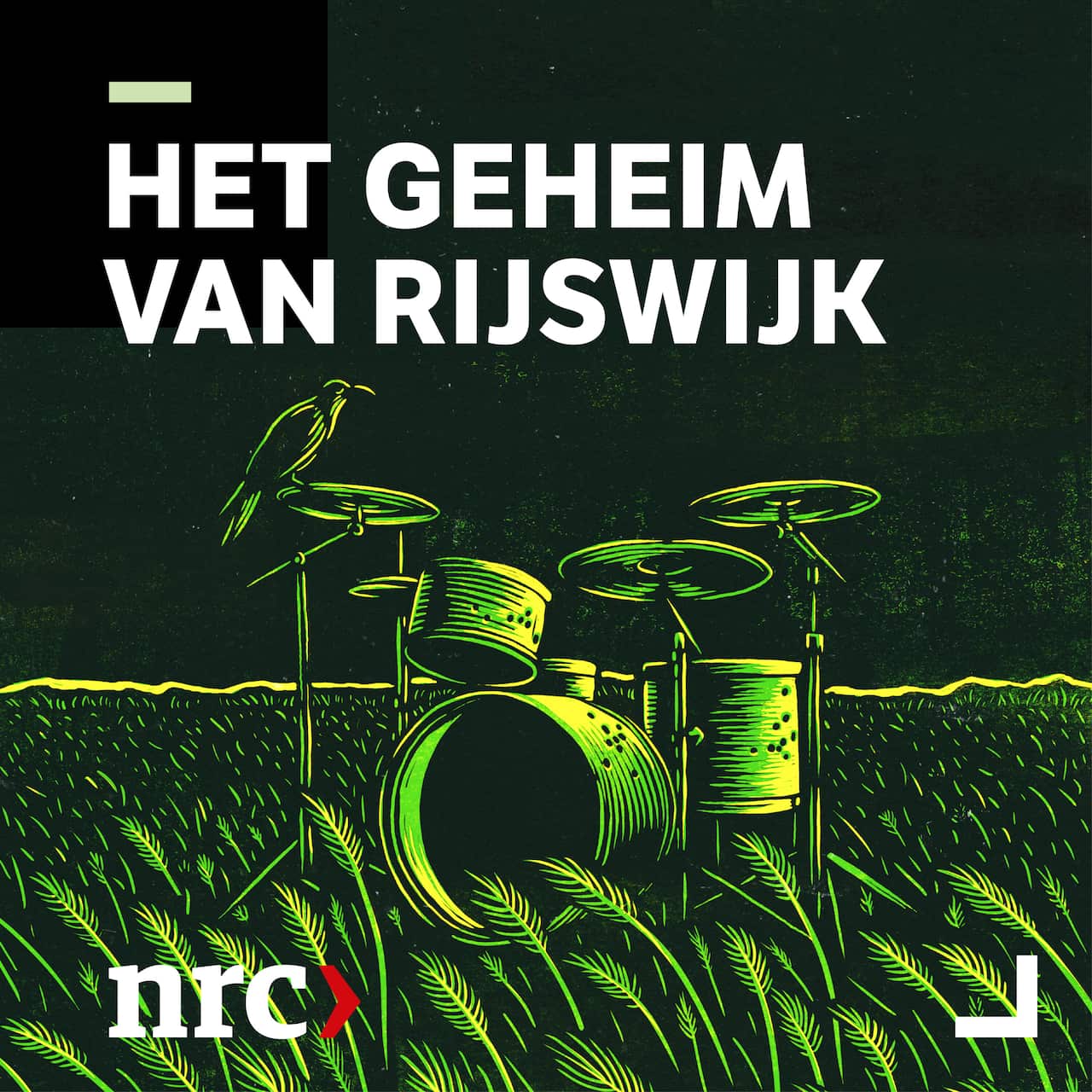 Podcast Het Geheim van Rijswijk